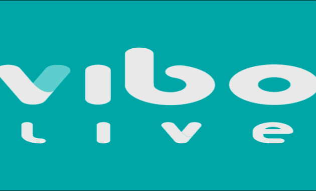 Vibo Live Mod Apk