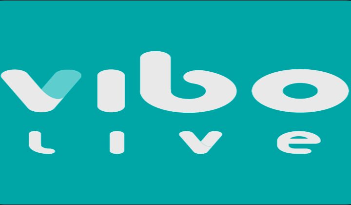 Vibo Live Mod Apk