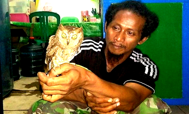 Arti Mimpi Menangkap Burung