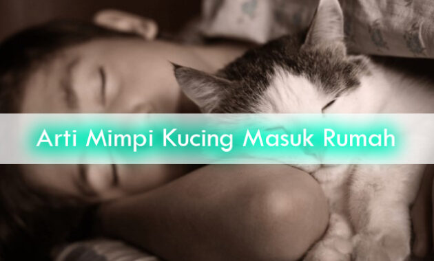 Arti-Mimpi-Kucing-Masuk-Rumah