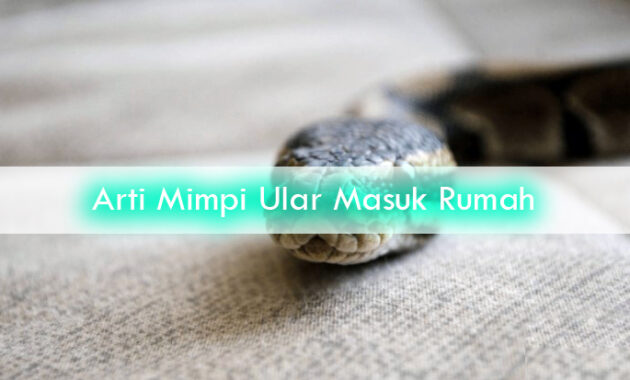 Arti-Mimpi-Ular-Masuk-Rumah-2