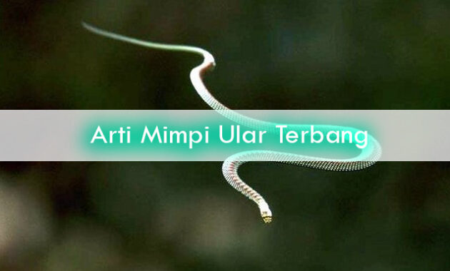 Arti-Mimpi-Ular-Terbang-1