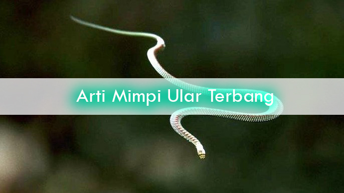 ♕ Tafsir mimpi menginjak ular togel