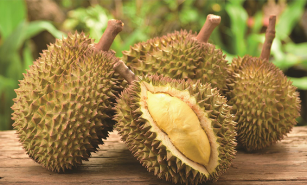 tafsir dan arti mimpi makan buah durian menurut primbon jawa